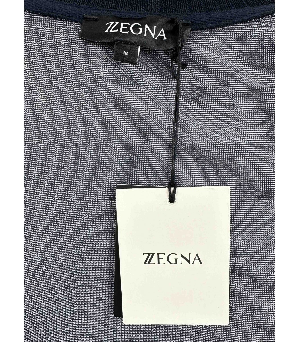 Серый спортивный костюм Zegna 13600-17